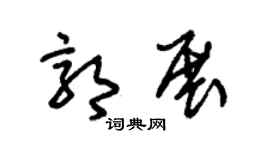 朱锡荣郭展草书个性签名怎么写