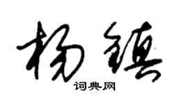 朱锡荣杨镇草书个性签名怎么写