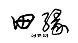 朱锡荣田缘草书个性签名怎么写