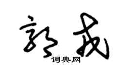 朱锡荣郭戎草书个性签名怎么写