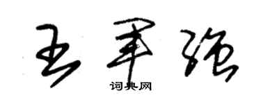 朱锡荣王军强草书个性签名怎么写