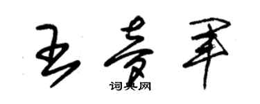 朱锡荣王梦军草书个性签名怎么写