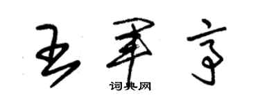 朱锡荣王军亭草书个性签名怎么写