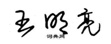 朱锡荣王明亮草书个性签名怎么写