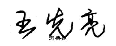 朱锡荣王先亮草书个性签名怎么写