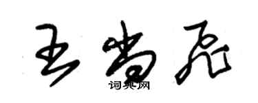 朱锡荣王尚飞草书个性签名怎么写