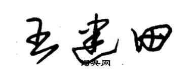 朱锡荣王建田草书个性签名怎么写