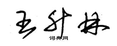 朱锡荣王升林草书个性签名怎么写