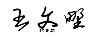 朱锡荣王文野草书个性签名怎么写