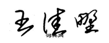 朱锡荣王佳野草书个性签名怎么写