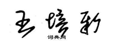 朱锡荣王培新草书个性签名怎么写