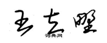 朱锡荣王立野草书个性签名怎么写