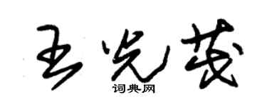 朱锡荣王光茂草书个性签名怎么写
