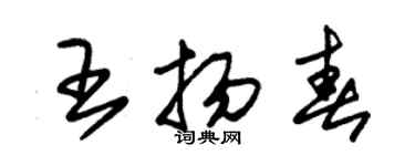 朱锡荣王扬春草书个性签名怎么写