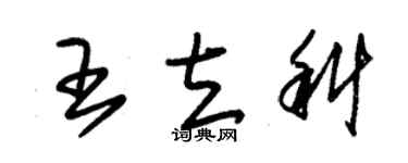 朱锡荣王立科草书个性签名怎么写