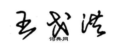 朱锡荣王戈洪草书个性签名怎么写