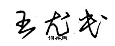 朱锡荣王尤民草书个性签名怎么写