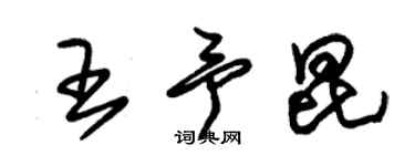 朱锡荣王予昆草书个性签名怎么写