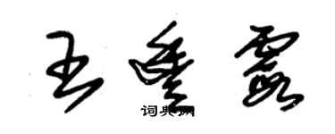 朱锡荣王丰霞草书个性签名怎么写