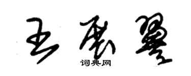 朱锡荣王展翼草书个性签名怎么写