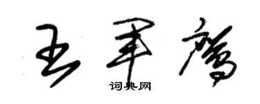 朱锡荣王军鹰草书个性签名怎么写