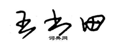 朱锡荣王书田草书个性签名怎么写