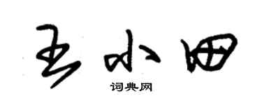 朱锡荣王小田草书个性签名怎么写