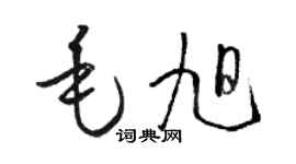 骆恒光毛旭草书个性签名怎么写