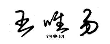 朱锡荣王唯易草书个性签名怎么写