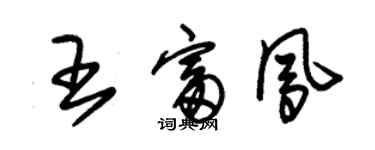 朱锡荣王富凤草书个性签名怎么写