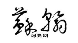曾庆福苏翰草书个性签名怎么写