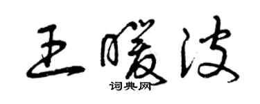 曾庆福王暖波草书个性签名怎么写