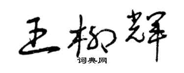 曾庆福王柳辉草书个性签名怎么写