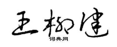 曾庆福王柳健草书个性签名怎么写