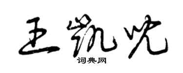 曾庆福王凯儿草书个性签名怎么写