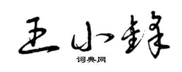 曾庆福王小锋草书个性签名怎么写