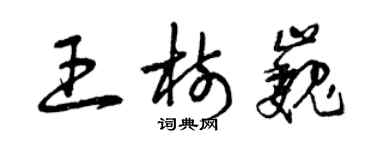 曾庆福王树巍草书个性签名怎么写
