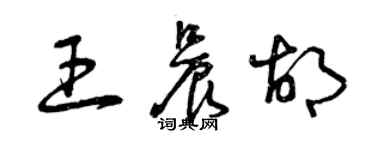 曾庆福王晨胡草书个性签名怎么写
