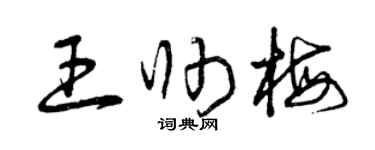 曾庆福王帅梅草书个性签名怎么写