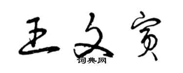 曾庆福王文宾草书个性签名怎么写