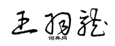 曾庆福王羽龙草书个性签名怎么写