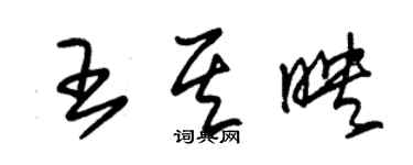 朱锡荣王其映草书个性签名怎么写