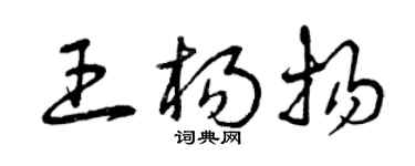 曾庆福王杨扬草书个性签名怎么写