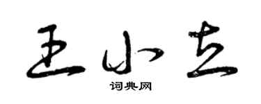 曾庆福王小立草书个性签名怎么写