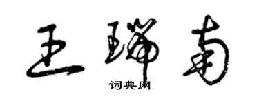 曾庆福王瑞南草书个性签名怎么写