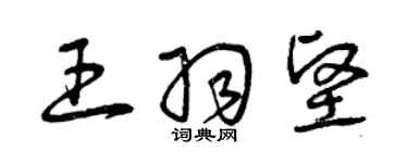 曾庆福王羽坚草书个性签名怎么写