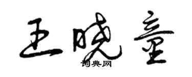 曾庆福王晓童草书个性签名怎么写