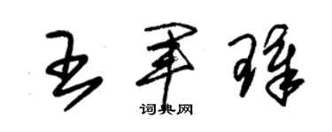 朱锡荣王军璋草书个性签名怎么写