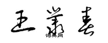 曾庆福王丛春草书个性签名怎么写