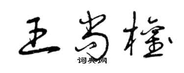 曾庆福王尚权草书个性签名怎么写